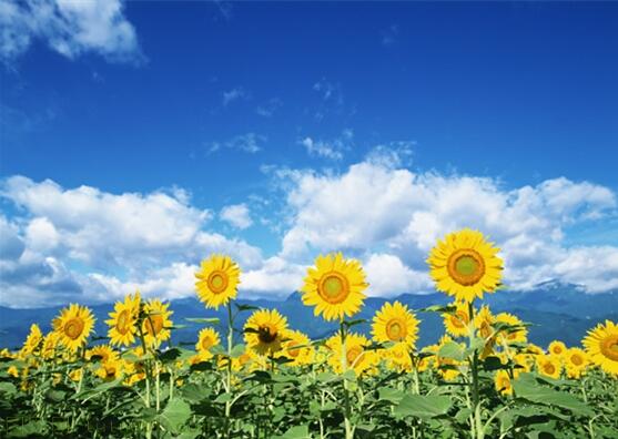 用責(zé)任點(diǎn)燃青春，以擔(dān)當(dāng)成就事業(yè)