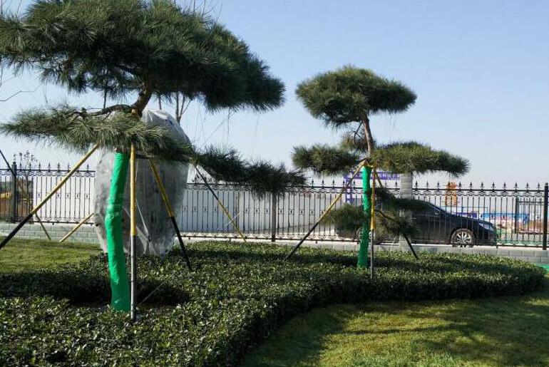 陜西綠宇園林公司內(nèi)外兼修為來(lái)年布局