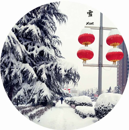 雪，寒冬里的溫柔