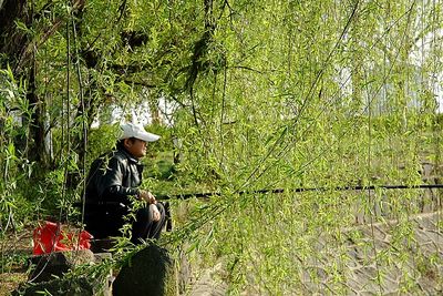 春天，一個多么富有詩意的名字啊！
