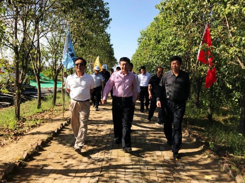 陜西省總工會黨組書記、主席白阿瑩一行蒞臨鄠邑區(qū)調研考察草堂寺健康養(yǎng)老示范項目