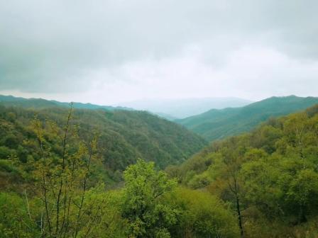 一個(gè)人的旅行----神道嶺寄語