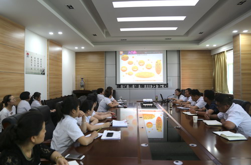 陜煤建設(shè)銅川公司:開展財(cái)務(wù)知識(shí)培訓(xùn) 著力提高工作效率