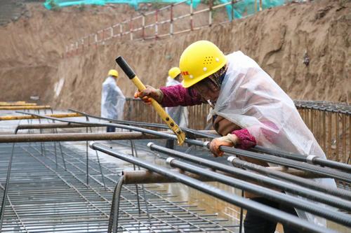 雨天里，“小蜜蜂們”在“筑巢”