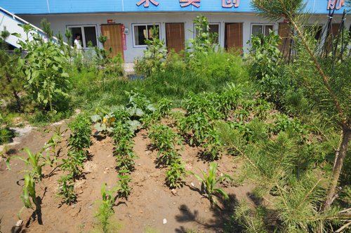 陜煤建設(shè)掘進(jìn)公司：北翼項目部走出一條綠色發(fā)展路