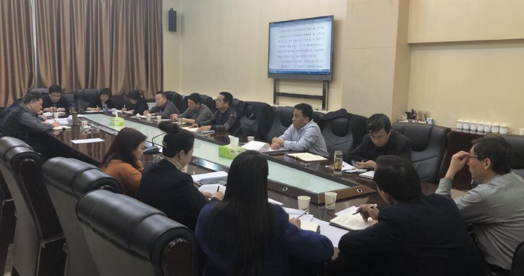 建設(shè)集團(tuán)召開2019年財(cái)務(wù)決算初步盤點(diǎn)匯報(bào)會