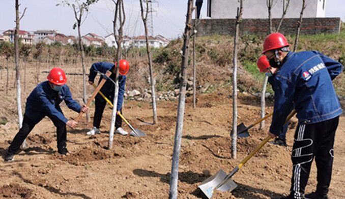 今天你植樹了嗎？