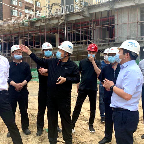 王寧深入大秦置業(yè)公司龍灣水境項目檢查指導(dǎo)項目開發(fā)建設(shè)工作