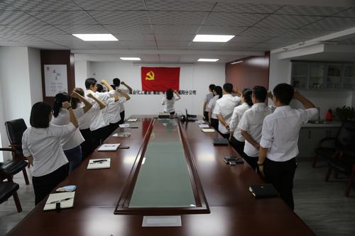 咸陽(yáng)分公司積極開(kāi)展“慶七一”主題黨日活動(dòng)