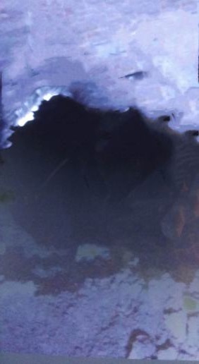 陜煤建設(shè)礦建二公司冶坪項目部一采區(qū)水倉順利貫通