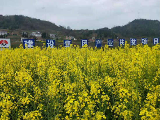 公司領(lǐng)導(dǎo)寧興剛、侯本英到扶貧定點幫扶村看望慰問困難群眾