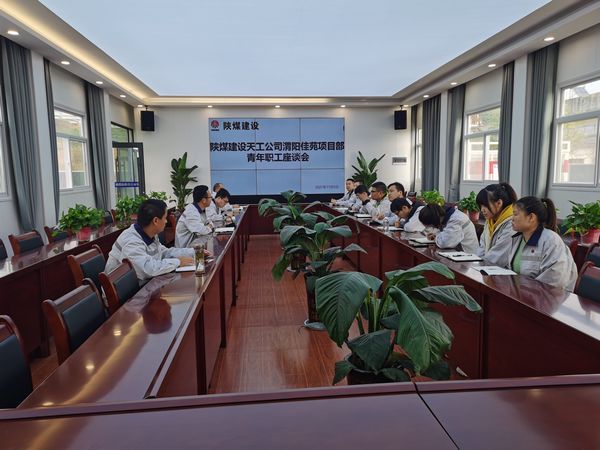 陜煤建設(shè)天工公司渭陽(yáng)佳苑項(xiàng)目部召開(kāi)“學(xué)習(xí)本領(lǐng)+錘煉品德”專(zhuān)題青工座談會(huì)