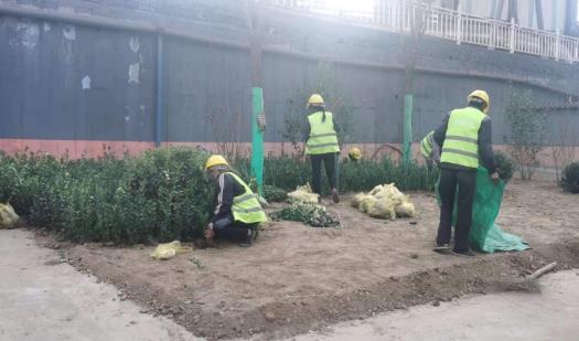 陜煤建設(shè)綠宇公司：龍鋼廠區(qū)再添綠色“新衣”