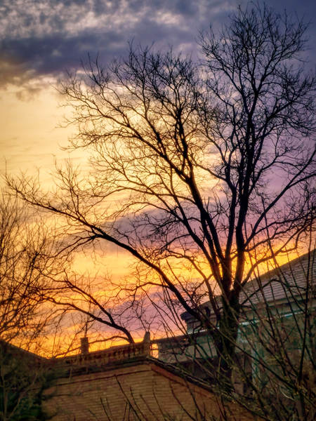 故鄉(xiāng)懷想