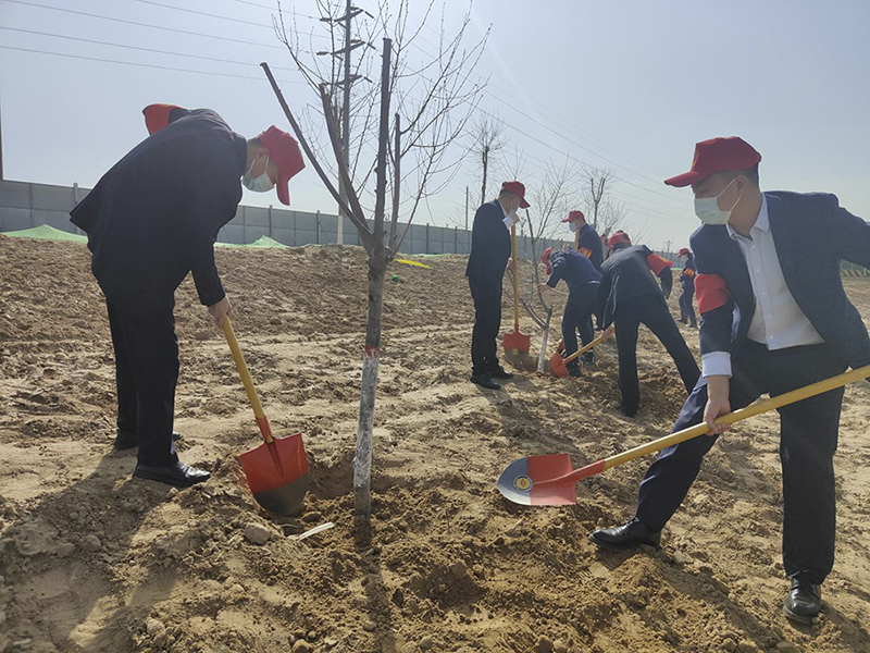 陜煤建設(shè)榆林公司開(kāi)展義務(wù)植樹(shù)活動(dòng)