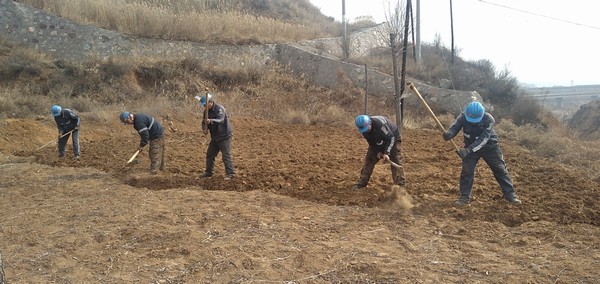 陜煤建設洗選煤運營公司左權洗煤廠項目部：春耕“小菜園”，播種幸福感