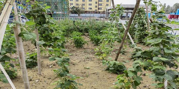 陜煤建設內(nèi)蒙古分公司第二項目部：一分耕耘“三分”收獲