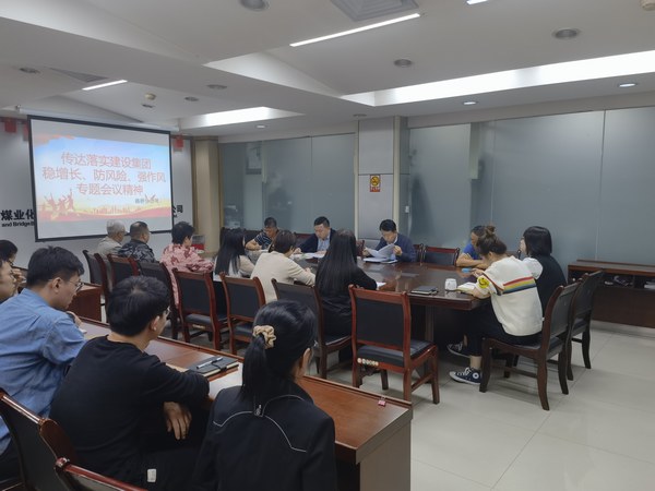 陜煤建設(shè)各單位傳達落實建設(shè)集團穩(wěn)增長、防風(fēng)險、強作風(fēng)工作部署會議精神