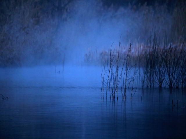 “冬月”你好！