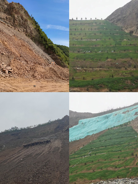 渣山變綠林，碎石堆場批“綠裝”