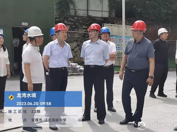 司正林在龍灣水境項目檢查指導工作