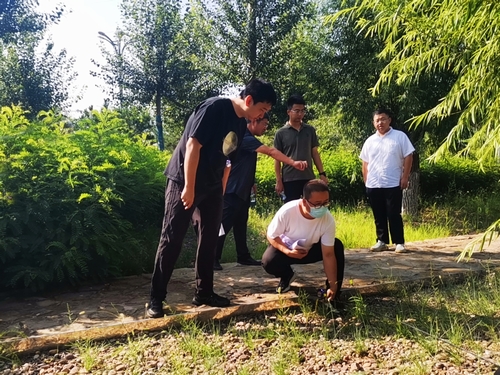 陜煤建設榆林公司承建的科創(chuàng)新城同慧運動公園項目綠化工程通過年度驗收