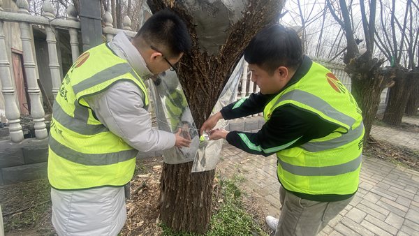 陜煤建設(shè)路橋分公司渭南項(xiàng)目部開展“綠色修復(fù)，生態(tài)共贏”別樣植樹節(jié)活動(dòng)