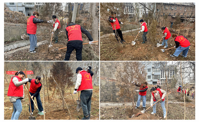 陜煤建設(shè)機(jī)電安裝公司：走，上春山，植樹去！