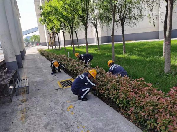 陜煤建設(shè)洗選煤運(yùn)營(yíng)公司神渭蒲城運(yùn)營(yíng)項(xiàng)目部：逐”綠”而行 向”綠”而興！廠區(qū)綠化在行動(dòng)