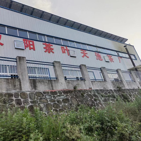 實事一件接著一件，跑出鄉(xiāng)村振興“加速度”