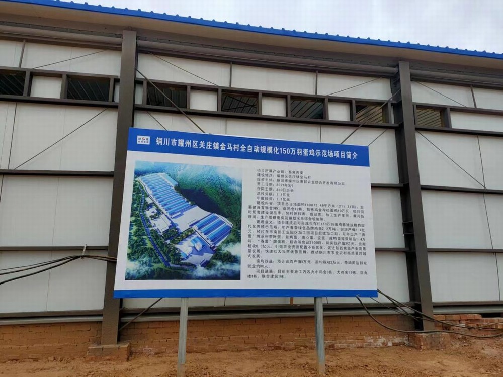 陜煤建設(shè)設(shè)計研究院：銅川市耀州區(qū)關(guān)莊鎮(zhèn)金馬村全自動規(guī)?；?50萬羽蛋雞示范場項目主體驗收