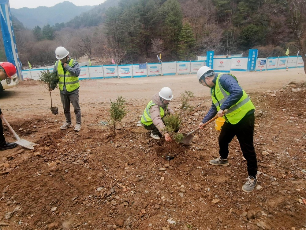“植”此青綠，陜煤建設路橋分公司春風十里添新林