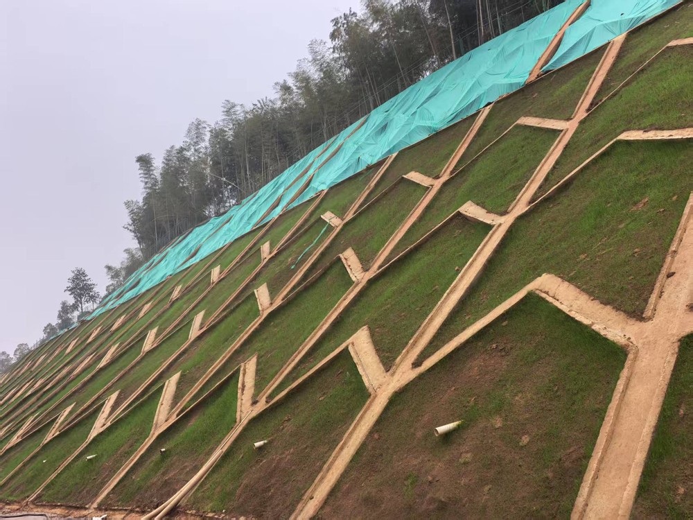 陜煤建設(shè)西北分公司：邊坡披綠衣，防護顯匠心