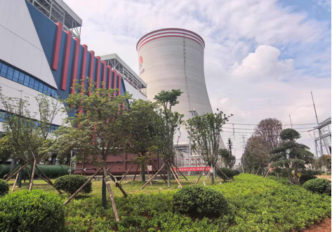 陜煤建設(shè)西北分公司：綠意盎然入電廠，生態(tài)建設(shè)譜新章