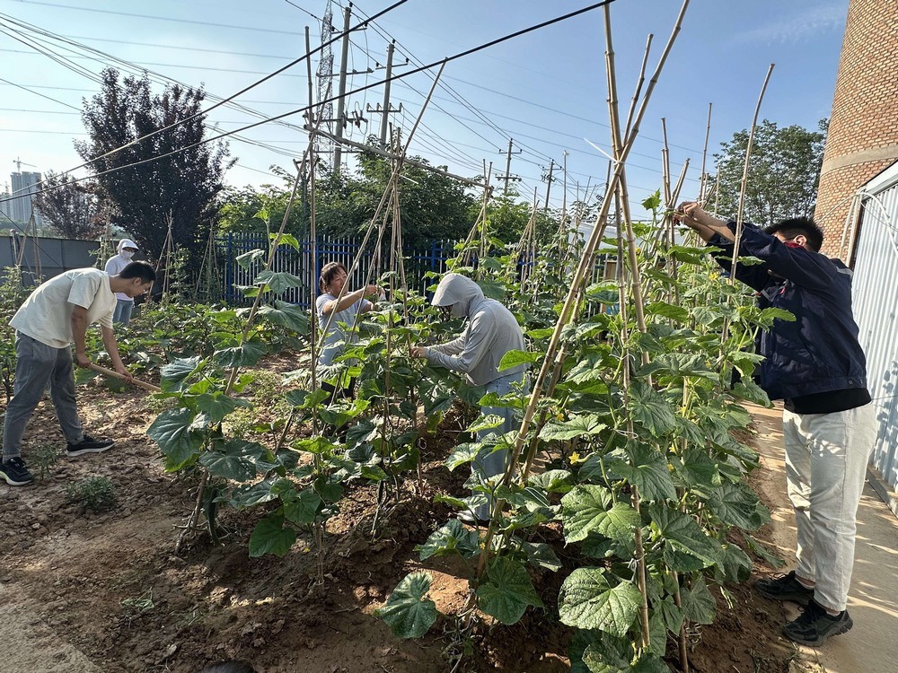 方寸菜園間，鐫刻奮斗與溫情