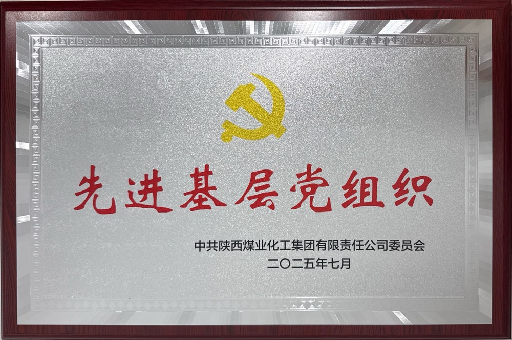 陜煤建設(shè)綠宇公司：榮獲陜煤集團(tuán)“先進(jìn)基層黨組織”稱(chēng)號(hào)