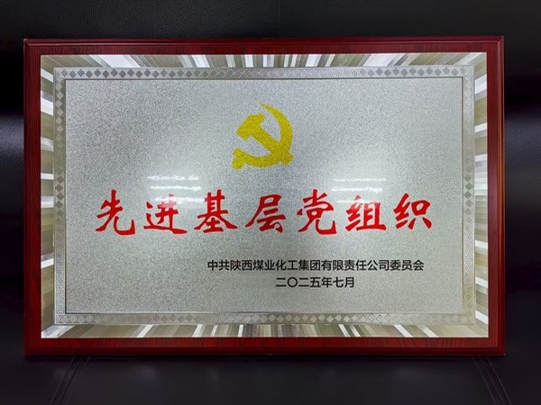陜煤建設(shè)煤礦運(yùn)營(yíng)服務(wù)分公司黨總支榮獲陜煤集團(tuán)“先進(jìn)基層黨組織”稱(chēng)號(hào)