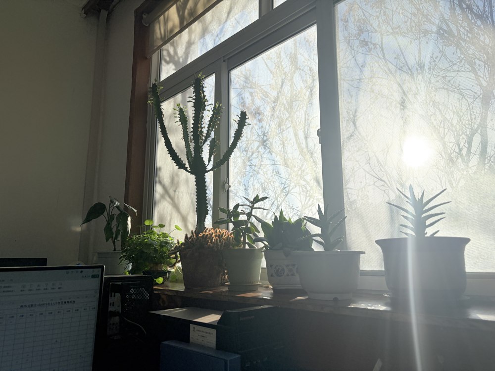 冬陽正好，步履鏗鏘