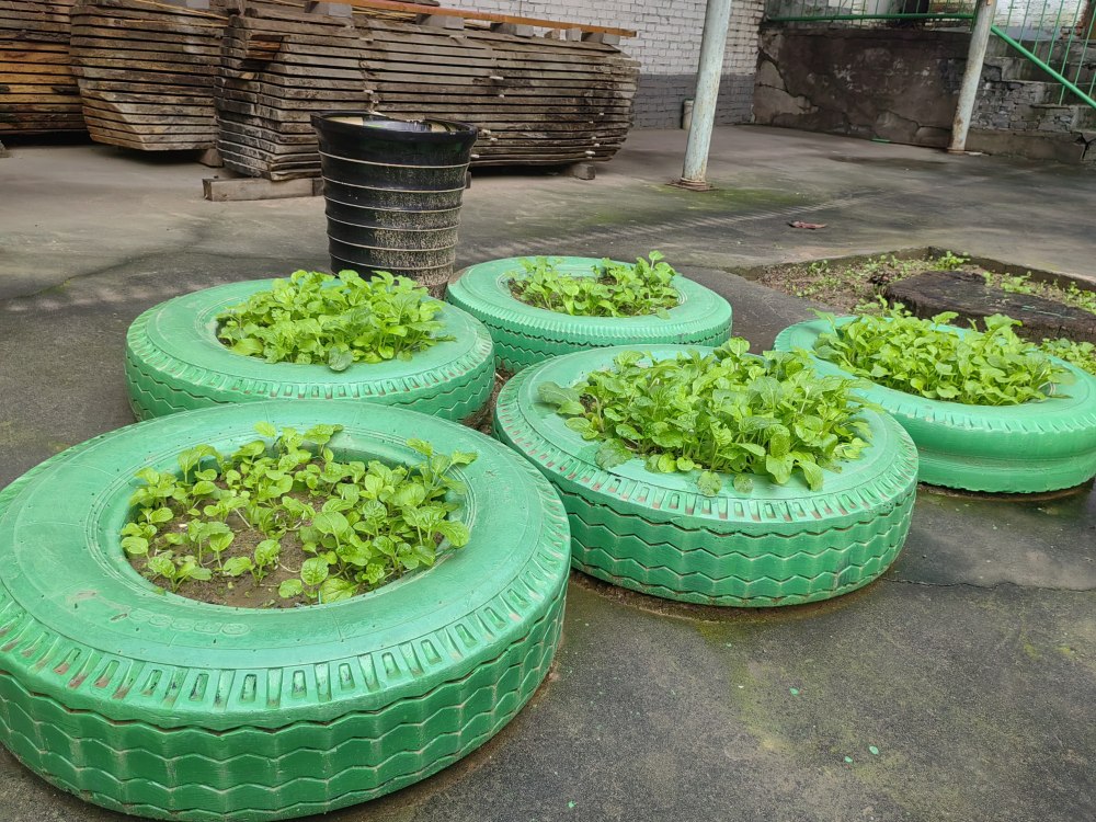 創(chuàng)意無休，廢舊輪胎也能C位出道