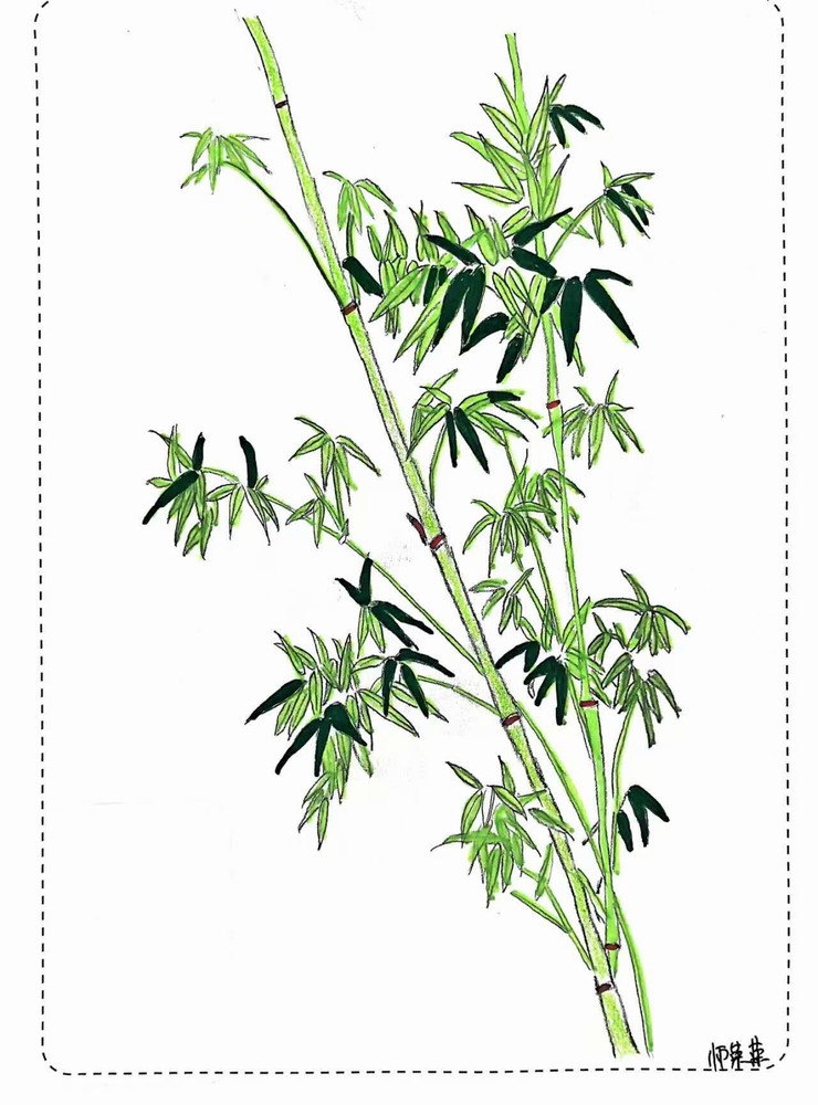 漫說廉潔！這組“草木廉盟”太可了